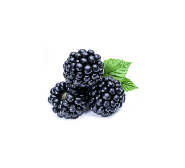 Organic Blueberries Package - Image 3